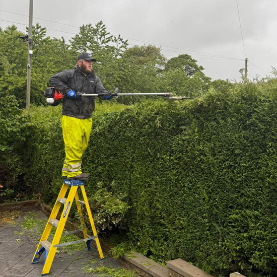 Hedge trimming and tree pruning service in Burnley, Lancashire